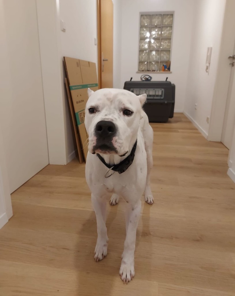 Lotti