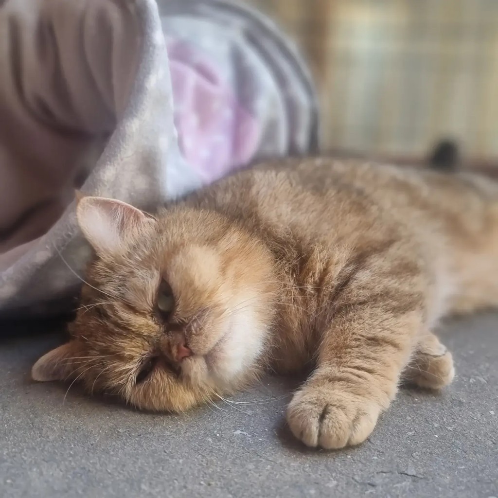 Zoe