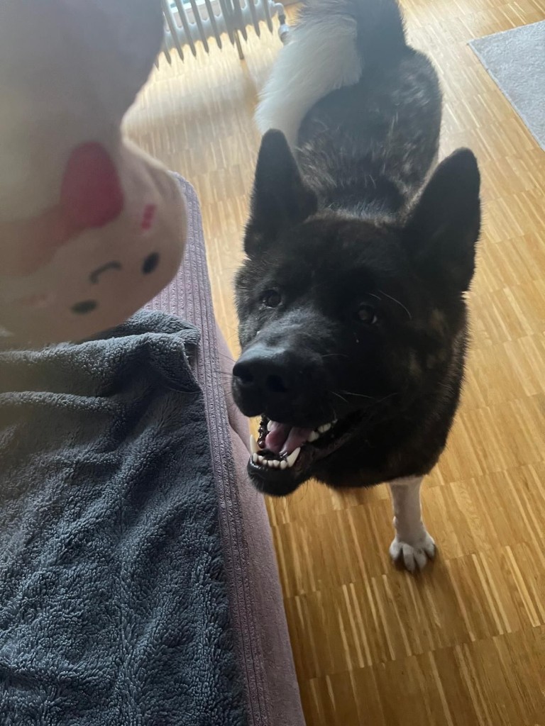 Max
